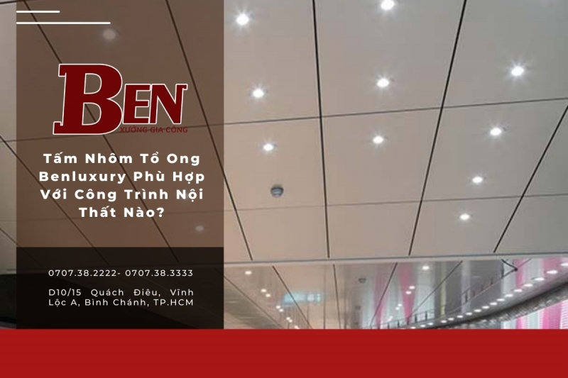 tam nhom to ong benluxury phu hop voi cong trinh noi that nao